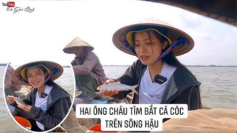 Săn bắt cá cóc trên sông Hậu | 315