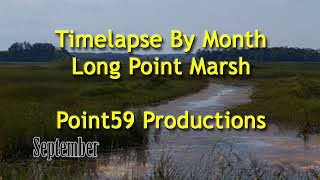 Long Point marsh by month