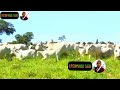 LESONKOYO IRMIRISHI LEMETO 