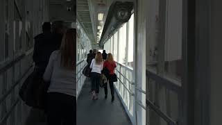 షిప్పులో వీసా కావాలా? 🤔 American Cruise Travel Guide for Indians Telugu vlogs 🛳️