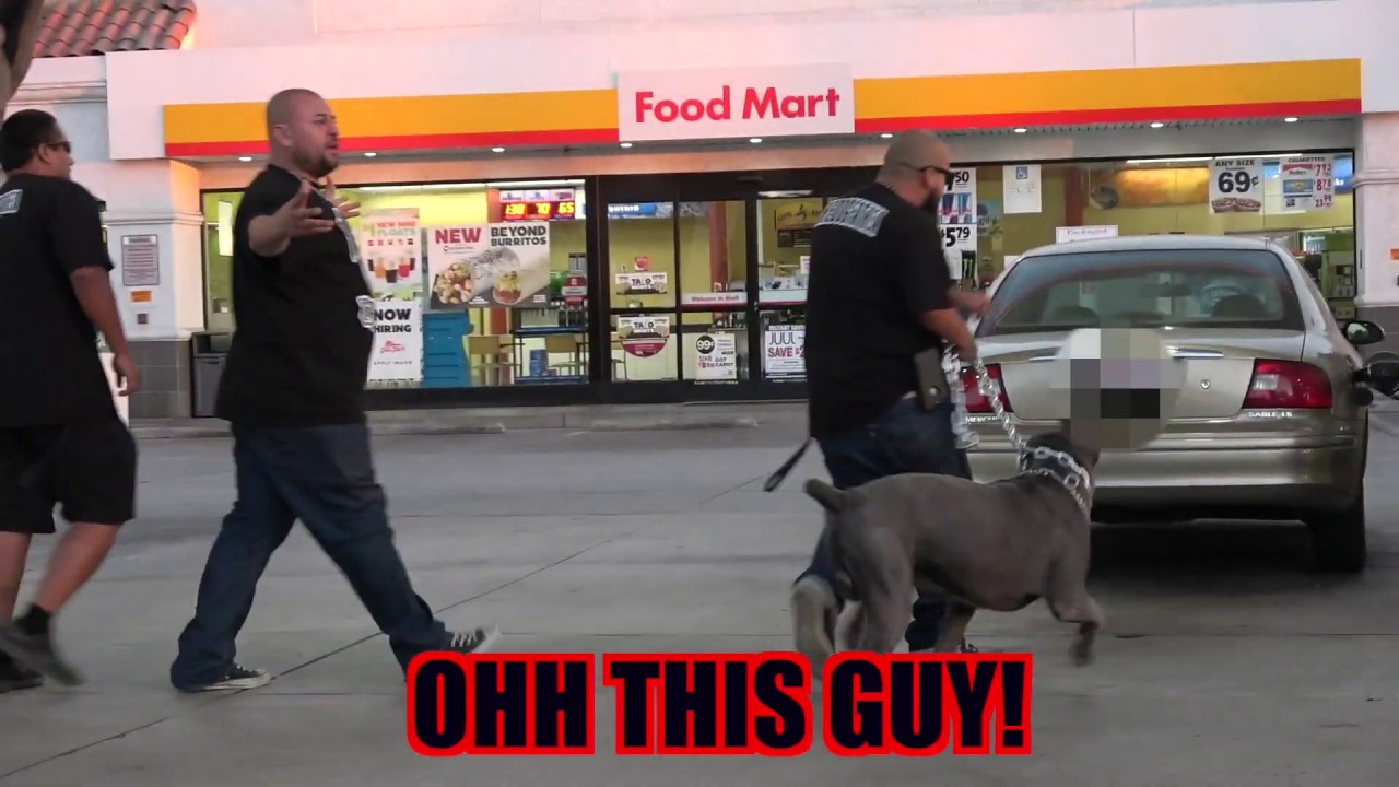 Ultimate Fight Me Prank Youtube