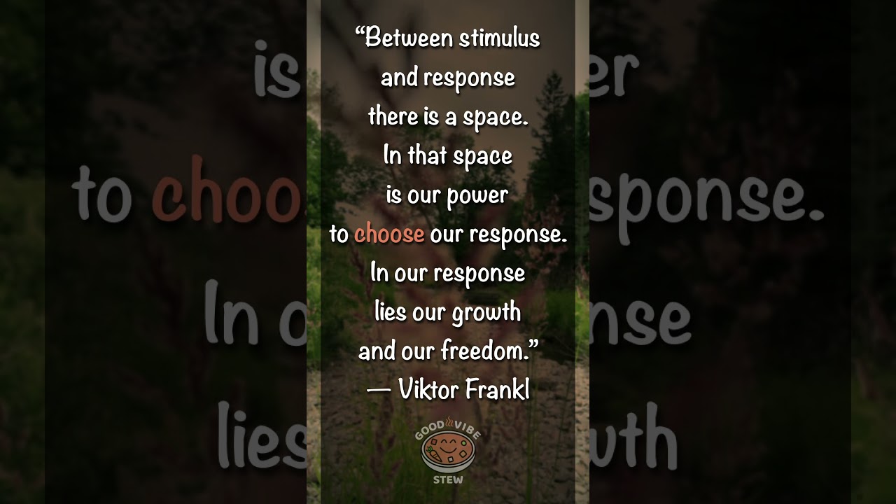 Watch In the Space Lies Freedom ✨ | Viktor Frankl Quote | Good Vibe Stew on YouTube Watch In the Space Lies Freedom ✨ | Viktor Frankl Quote | Good Vibe Stew on YouTube