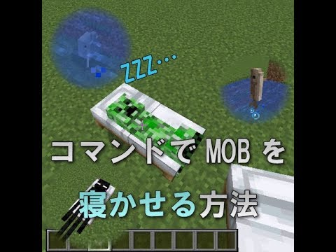 マイクラje コマンドでmobを寝かせるテクニック解説 マインクラフトjavaedition Youtube