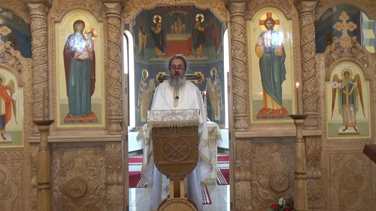 Pr. Dan Popovici – Când „Sarea pământului” s-a stricat