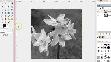 Gimp   selective colour tutorial one