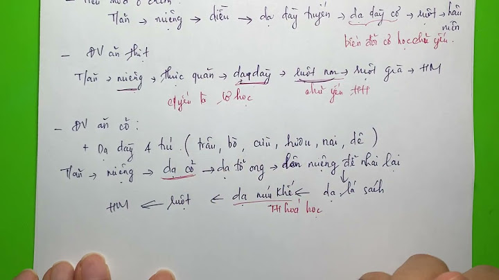 So sánh hệ cơ quan của thằn lằn tiêu hóa năm 2024