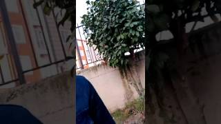 Kız Benden Baskasina