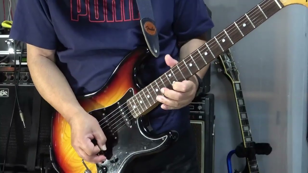 kissy's Guitar Collections】美しいセン木目！1980年 Tokai SILVER