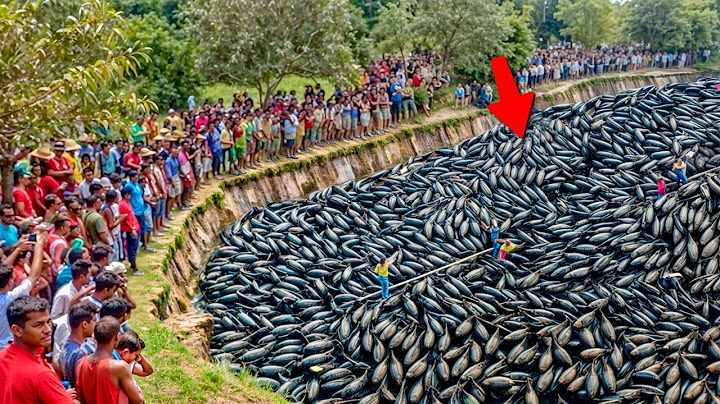 Momentos na Natureza Que Acontecem uma Vez em um Bilhão