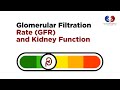 Glomerular filtration rate gfr and kidney function  salem gopi hospital