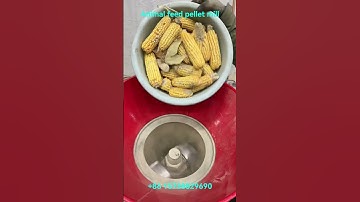 Installation and use of feed pellet machine