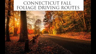 Best Fall Road Trips in Connecticut