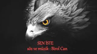 SEN İSTE - söz ve müzik:birol can