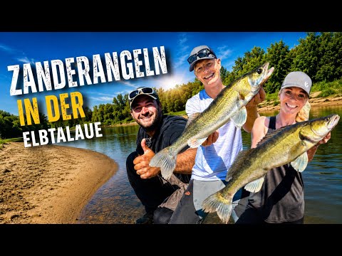 We're catching one zander after another! Sometimes everything just clicks while fishing!