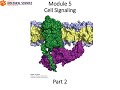 17 Cell Biology Module 5 Part 2