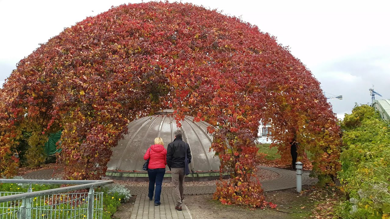 🇵🇱 Библиотека Варшавского университета 4K, Польша