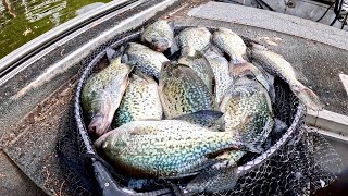 POST SPAWN CRAPPIE MADNESS!!! How to Catch Crappie After the Spawn !