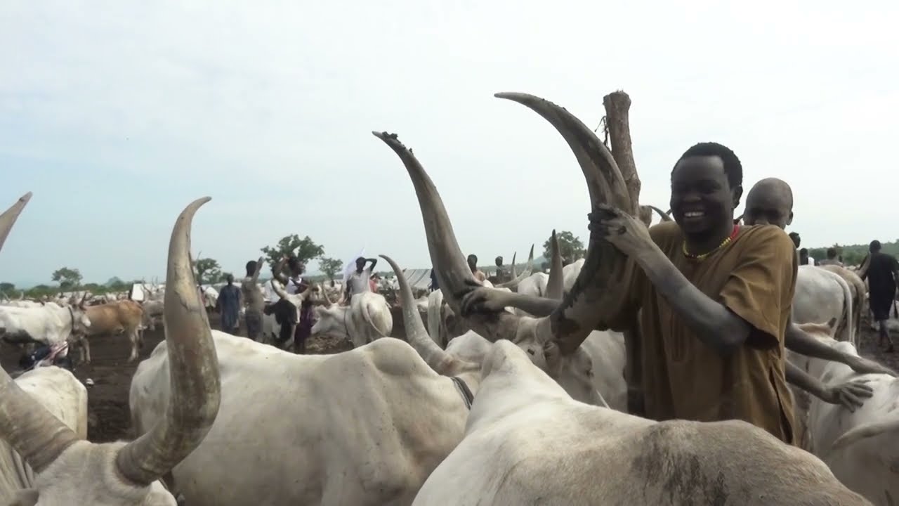 Arizona JJ - Dhueeng (FULL HD) Official Video.