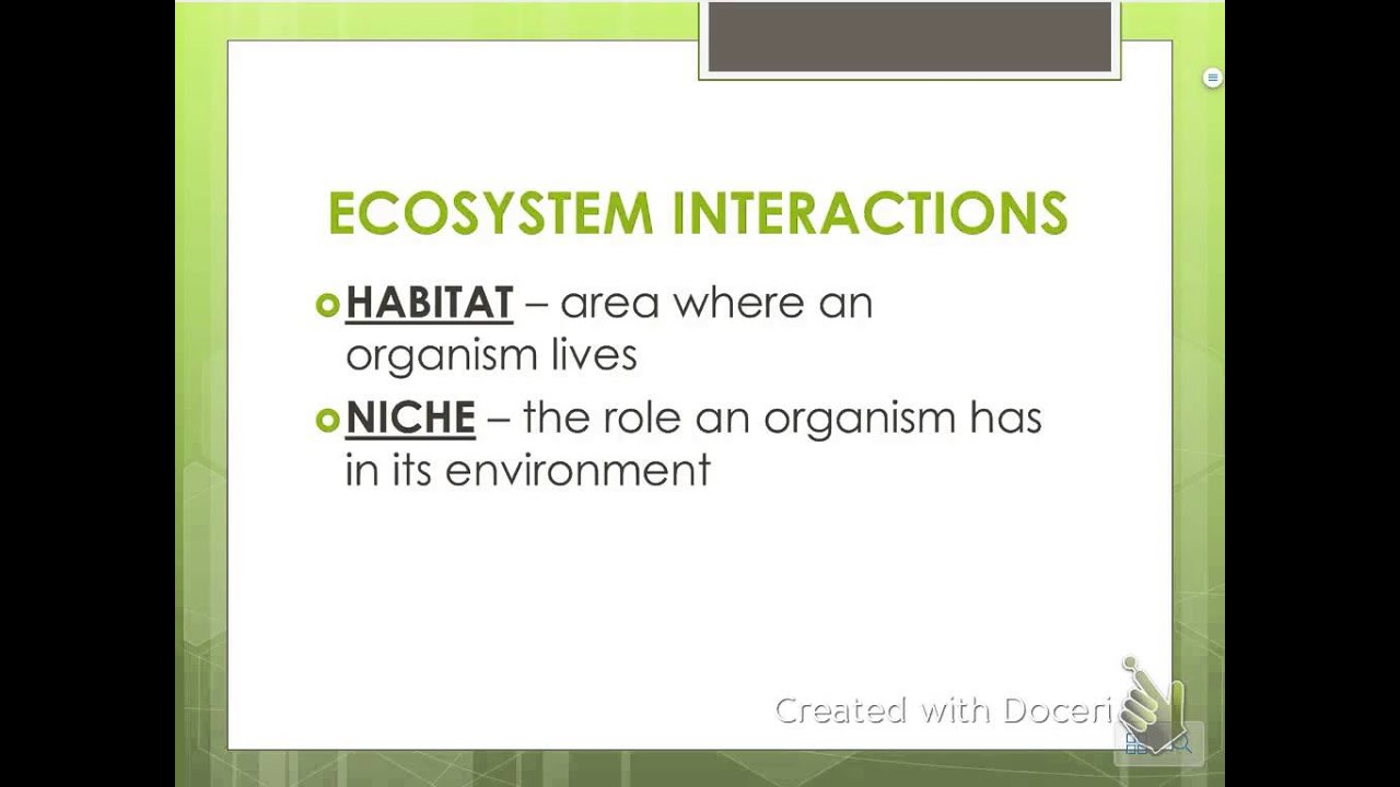 Ecology Notes - Organisms & Their Relationships