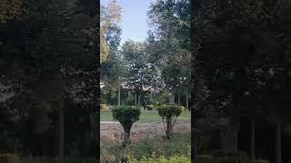 Kabir Das Nice Poetry Like&Subscribe