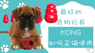 狗狗食物玩具Kong的正确使用方式最好的食物玩具