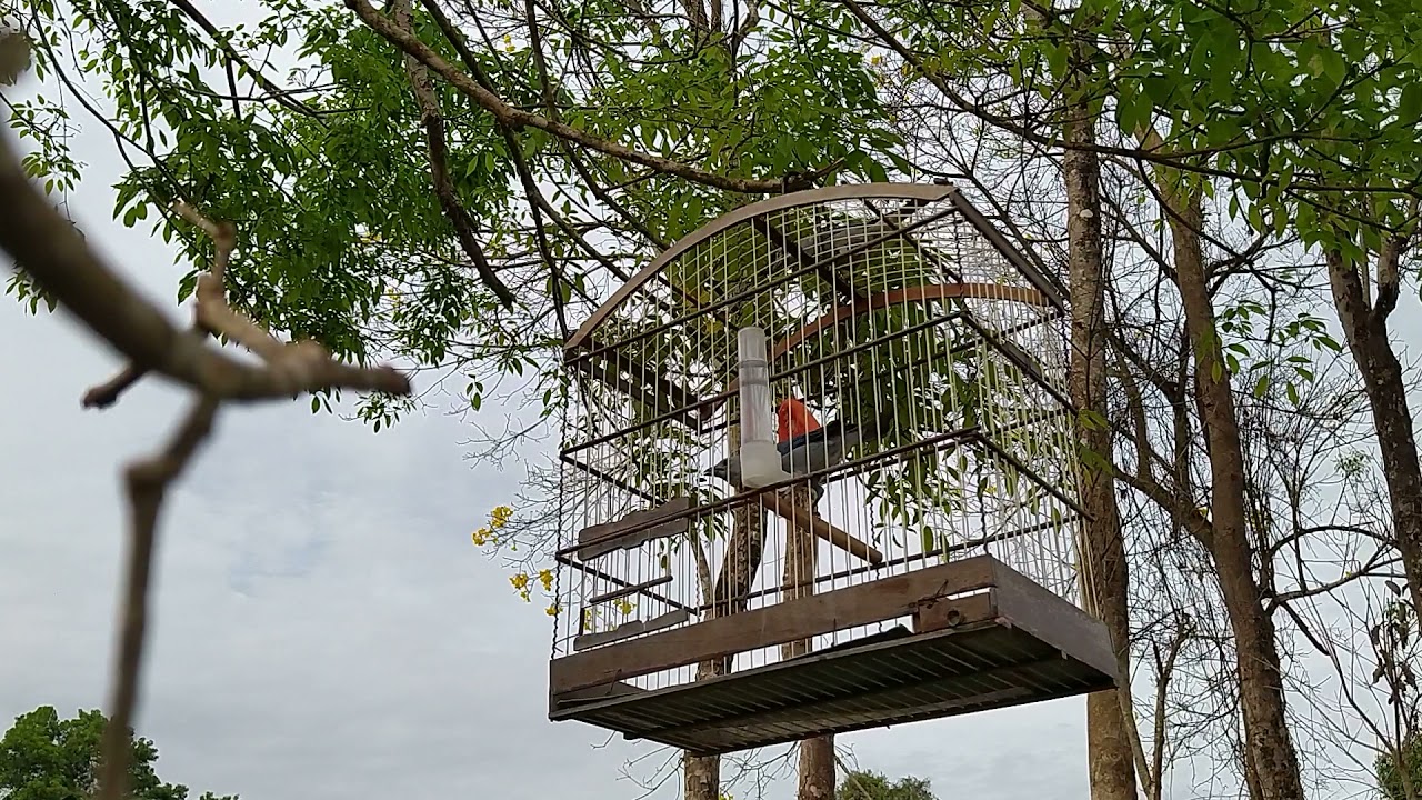 11 de janeiro de 2022