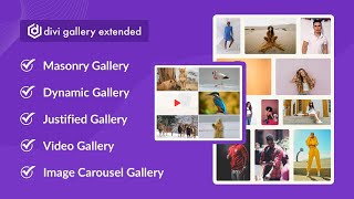 Divi Gallery Extended - Masonry and Video Gallery Plugin for Divi