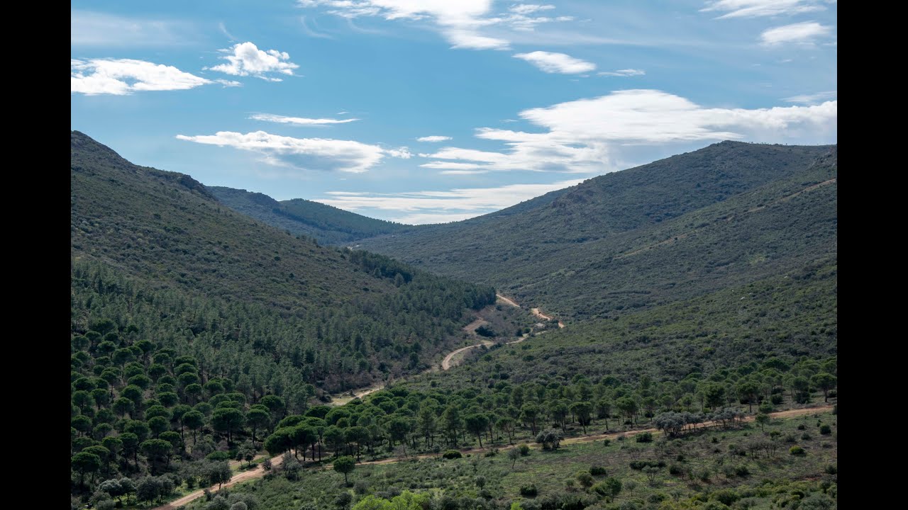 La Serrana de Valdehierro (Madridejos)