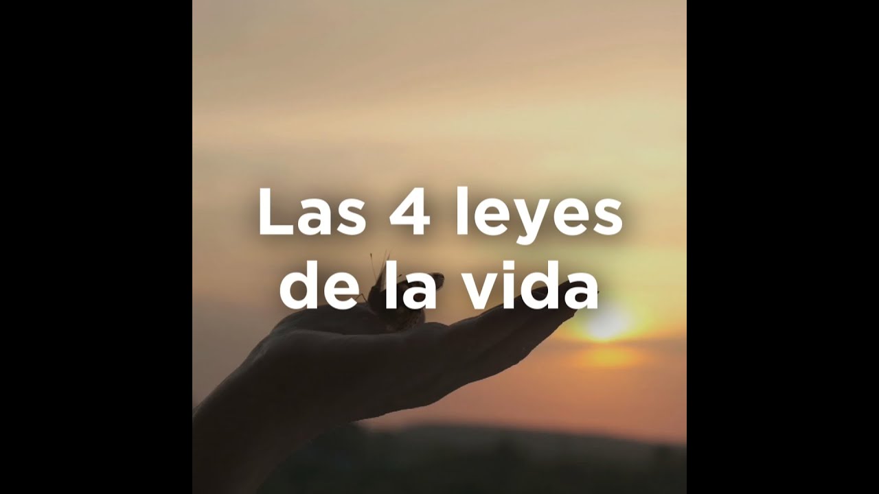 Las 4 Leyes de la Vida - YouTube