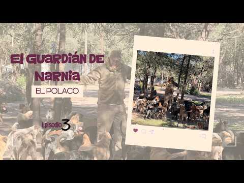 El guardián de Narnia, parte 3