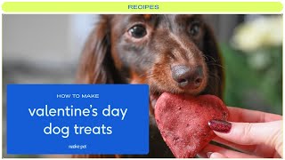 Valentines Day Dog Treat Recipes | Valentines Day Dog Treats Recipe | Dog Treats for Valentines