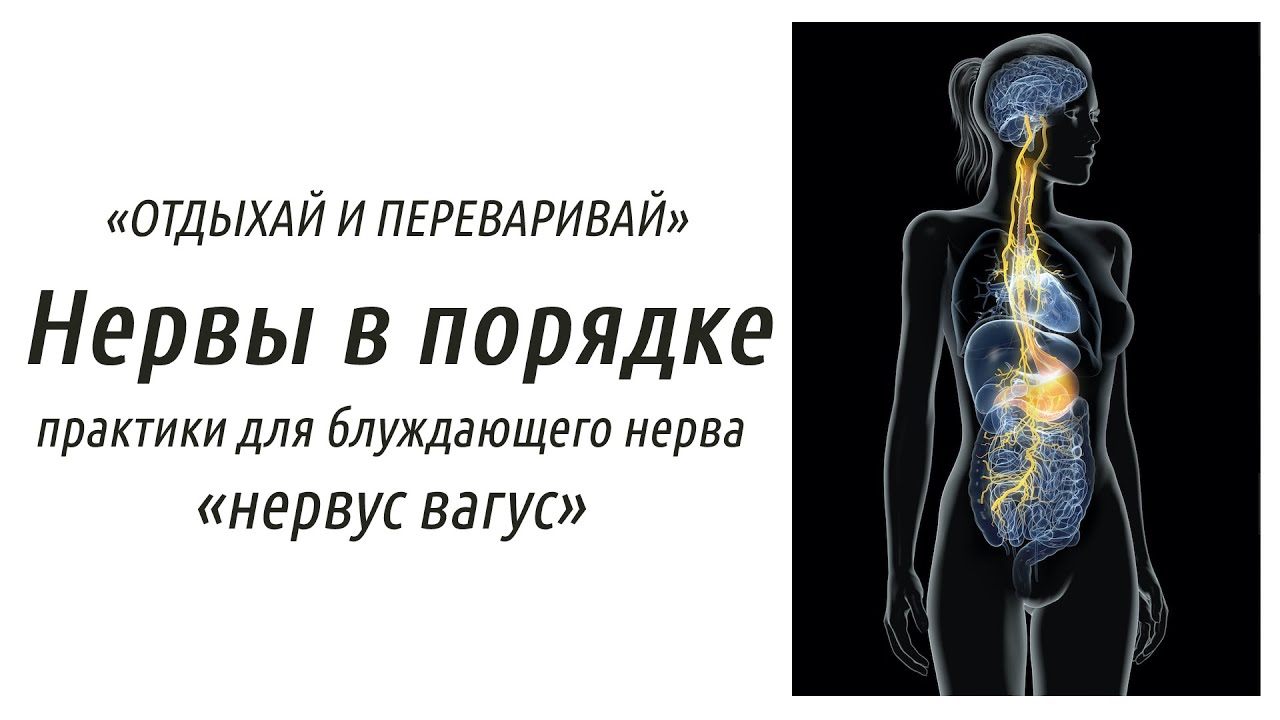 Практики для блуждающего нерва «нервус вагус», чтобы Ваши нервы были в ...