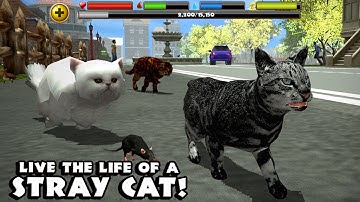 Stray Cat Simulator Android Gameplay [HD]