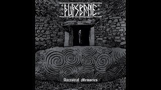 Ancestral Memories (Reinterment)#blackmetal #paganmetal
