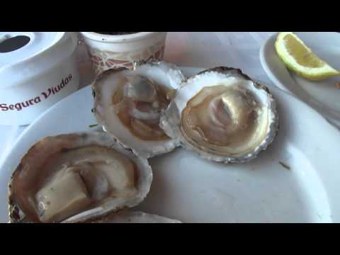 these-oysters-are-alive!!