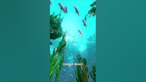 An Island Of Toenail Clippings? 🤮