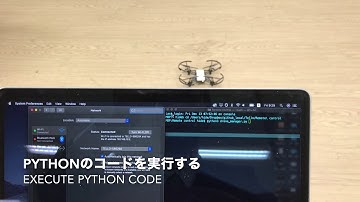 TelloをPythonで離着陸させる Take off and land Tello in Python
