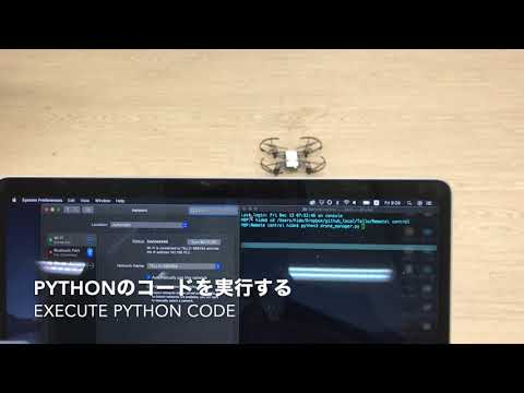 TelloをPythonで離着陸させる Take off and land Tello in Python