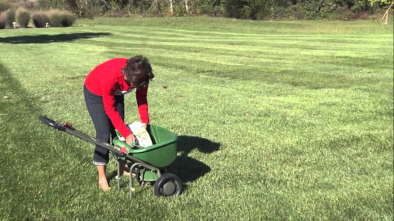 Fall Lawn Care Tips - YouTube