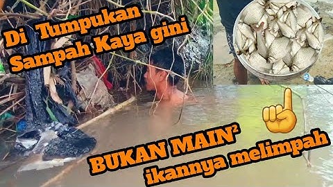TRADITIONAL FISHING‼️Menangkap ikan dengan tangan kosong | Skill Dewa