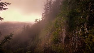 Misty Mountains 4k - Freedom FPV