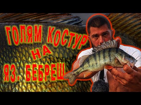 Видео: Как да хванем костур с джиг