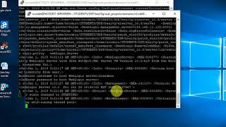 Celebrity Start & Stop Servers and Wrapper Scripts Wealth