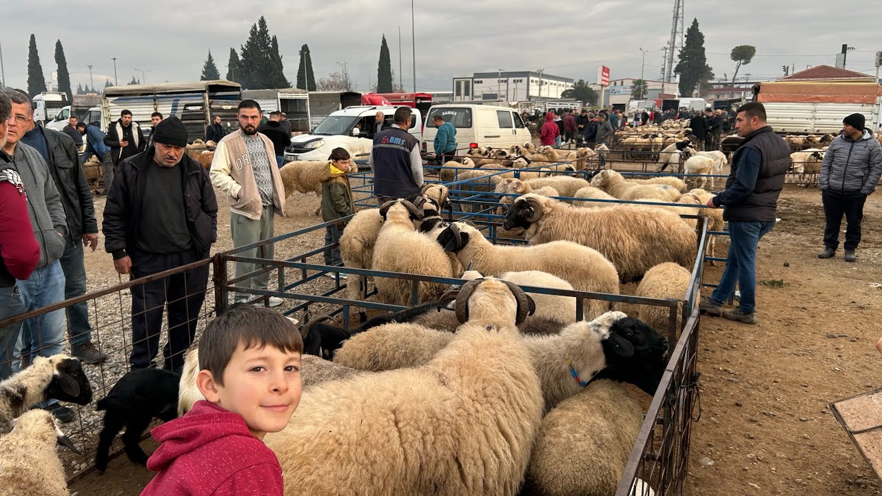 EGENİN GÖZDE PAZARI