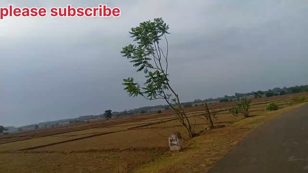 please subscribe my blockg