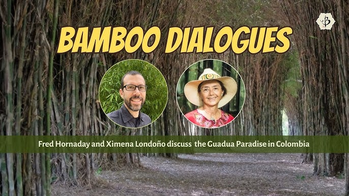 Қыздардың нағыз үйдегі оргазмы Санкт-Петербургтегі ХХХ түнгі клубында бос жұмыс орындары