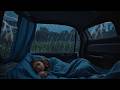 Beat Insomnia in 3 Minutes with Heavy Rain and Steady Thunder Sounds Rattled the Farmhouse at Night