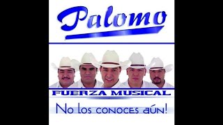 Palomo - Dajamé Ser 2001