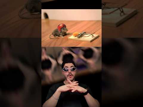 یاورتون نمیشه تله موش میتونه چقدر قوی باشه مقاومت انواع وسایل در برابر تله موش 