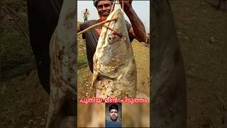 പുതിയ മീൻ പിടുത്തം #mallutraveler#fishingfreaks#shortsX#mallu#malayalam#m4tech